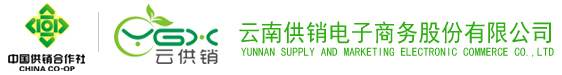 球速电子商务股份有限公司